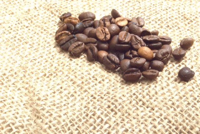 コーヒー豆袋でブックカバーをつくろう